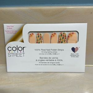 Color Street Desert Flora Nail Strips